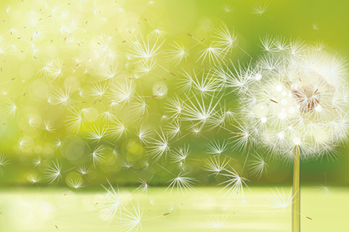 Combattre les allergies, grâce à la méthode NAET